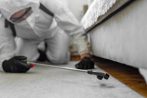 Professional Bed Bug Control technician working in Anaconda, MT